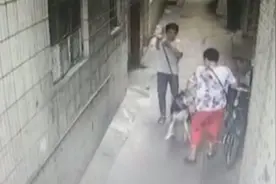 监拍！广州一阿姨被邻居家大狗咬了肚腩 狗主人拉开犬后竟回家了视频封面
