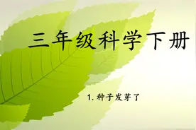科学三年级科学下册苏教版1种子发芽了【转载】视频封面