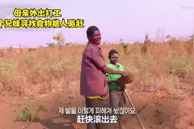 母亲外出打工，饥饿的4兄妹去地里寻找食物却被人驱赶视频封面