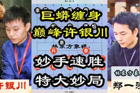许银川特大不愧象棋第一人！中局功夫如巨蟒缠身，速胜郑一泓特大视频封面