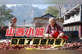 党参比人参好？《本草纲目》的一段记载，为何引发持续不断争论？视频封面