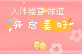 一分钟小知识，了解我们的身体，身体器官-尿道