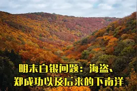 明末白银问题：海盗、郑成功以及后来的下南洋视频封面