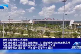 鄂州花湖机场正式投运视频封面