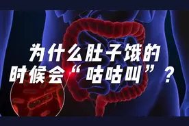 为什么肚子饿的时候会有“咕咕叫”？了解胃肠道的工作原理