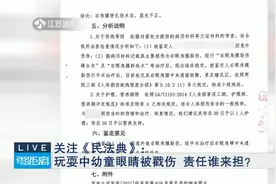 关注《民法典》：玩耍中幼童眼睛被戳伤 责任谁来担？视频封面