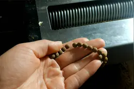 你们要的水蜜丸制作方法来了，一会就做这么多，能吃俩月了！