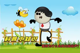 科普小知识：蜜蜂为什么会发出嗡嗡声？
