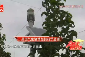 【农博士】果园气象如何科学监测视频封面