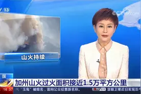 美国加州今年已有近8000起山火视频封面