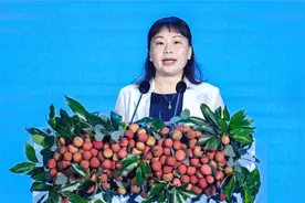 推动全产业链融合发展，为荔枝产业做出茂名贡献视频封面