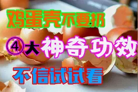 剩下的鸡蛋壳不要扔，它还有这4大神奇功效，不信可以试试看视频封面