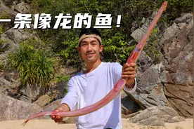 荒岛生存60天，鱼干被偷却发现像龙的鱼，会好吃吗？视频封面