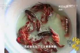 餐馆里用洗虾粉清洗小龙虾，它是导致横纹肌溶解症的罪魁祸首吗？视频封面