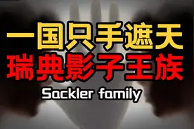 【资本山海经】40%瑞典人给他们打工，北欧第一豪门的霸气视频封面