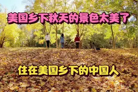 住在美国乡下的中国人秋天去农场采摘苹果去公园踏秋赏落叶视频封面