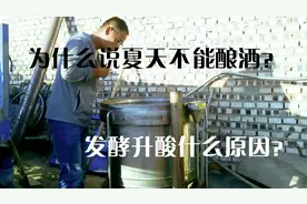 为什么说夏天不酿酒，酒醅发酸的问题，发酵升酸的解决方法