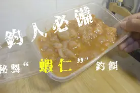 2019【矶钓海钓鱼饵料DIY制作教学】--腌制虾仁--第二集视频封面