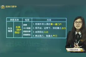 中医-中医妇科学02女性生殖器官的组成和各自的功能视频封面