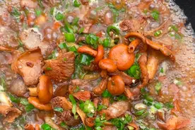 这才是湘西松树菌最好吃的传统做法，开胃又下饭，米饭不够吃