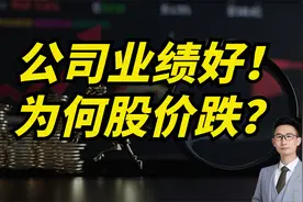 公司业绩好！为何股价反而下跌？视频封面