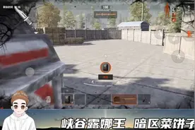 暗区突围：没装备了？去普通地图啊，铲子进去4级套出来视频封面