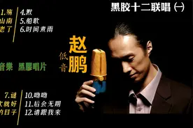 低音赵鹏——【黑胶十二联唱】㈠  无损音乐·黑胶唱片 1080P视频封面