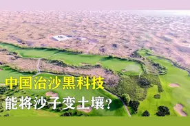 沙子竟然能变成土？中国发明治理沙漠新科技，沙漠种植成为现实！