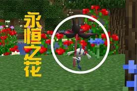 两天时间！ 永恒之花！