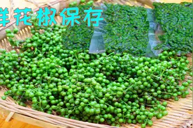 保存鲜花椒直接冻就是错，这才是最正确的方法，放一年不变色还香视频封面