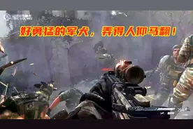 使命召唤：幽灵06，好勇猛的军犬，冲入敌军小屋，弄得人仰马翻！