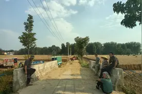 烂场雨致麦收撞期，到河南收割机被安徽村民拦下就地作业视频封面