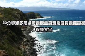 30分钟郑多燕减肥操瘦全身燃脂健身操健身操视频大全【转载】视频封面