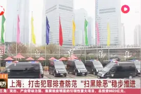 浦东新区打掉涉黑涉恶团伙，首次获评上海市平安示范城区！视频封面