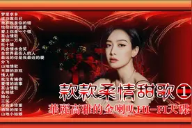 《款款柔情甜歌大全-1》华丽高雅的金喇叭HI-FI天碟