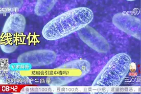 茄碱会引发中毒吗？听听专家的解释，食用茄子一定要注意视频封面