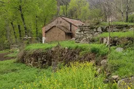 陪朋友去终南山看房子，在这里住山隐居真是一种享受，租金也不贵视频封面