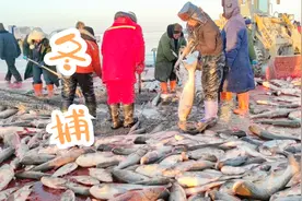 吉林省大安市月亮湖水库冬捕，胖头鱼是真不小，水下的鱼是真多！