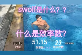 【梦觉】什么是游泳效率数？跟swolf有什么区别？