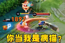 “寅虎瑞焰”鲁班：用最靓的皮肤，挨最毒的打！