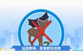 山西实施最严厉的野生动物管控措施视频封面