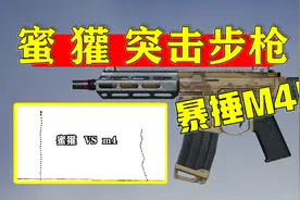 762比556还要稳！简直就是762冲锋枪，M4哭晕在厕所视频封面