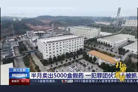 湖北宜都：半月卖出5000盒假药，一犯罪团伙14人被抓视频封面