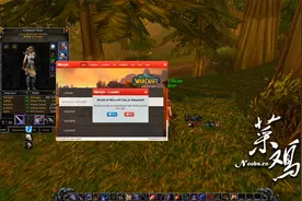 魔兽世界怀旧服iMorp修改模型工具，简单按宏即可，种族性别发型