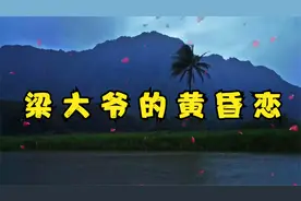 法治故事：梁大爷的黄昏恋视频封面