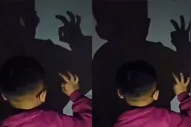 男孩玩“手影”模仿孔雀 示范“孔雀笑起来”的样子乐翻妈妈视频封面