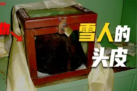 神秘生物存在的证据，渔船捞出蛇颈龙遗骸，雪人头皮被保存在寺庙视频封面