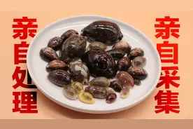 赶海采集的12种宝贝螺，每一个花纹都不一样，教大家怎么清洗他们视频封面