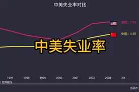 近三十年中国和美国失业率对比视频封面