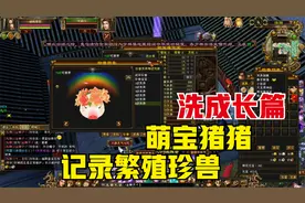 天龙八部端游：记录繁殖萌宝猪猪（上），洗成长篇。视频封面